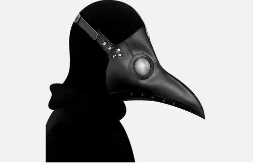 Plague doctor mask bird - doctor,